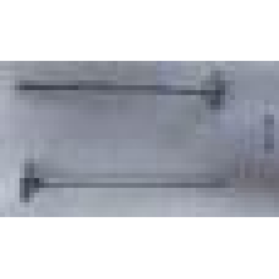 Large product photo - Exhaust valves (set of 8), 000001061. Option #1