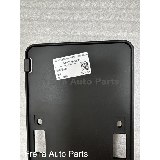 Large product photo - Front license plate panel 6010179500 Monjaro Geely, 000001796. Option #1