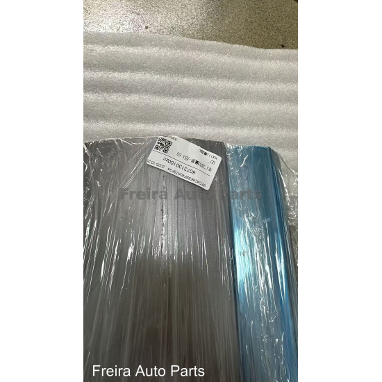 Large product photo - Front bumper anti-collision strip Rear L 6073120300 Monjaro Geely, 000001802. Option #1