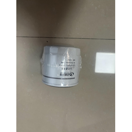 Large product photo - Oil filter   1001787 Lixiang L7 L8 L9, 000001919. Option #1